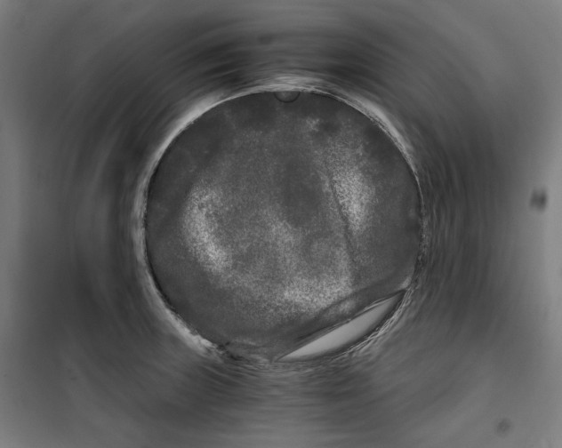 X0000099491235200806121345