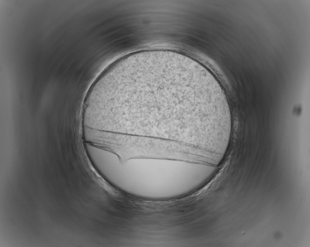 X0000099491236200806121345