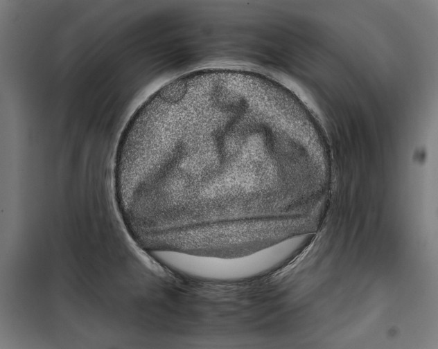 X0000099491237200806121345