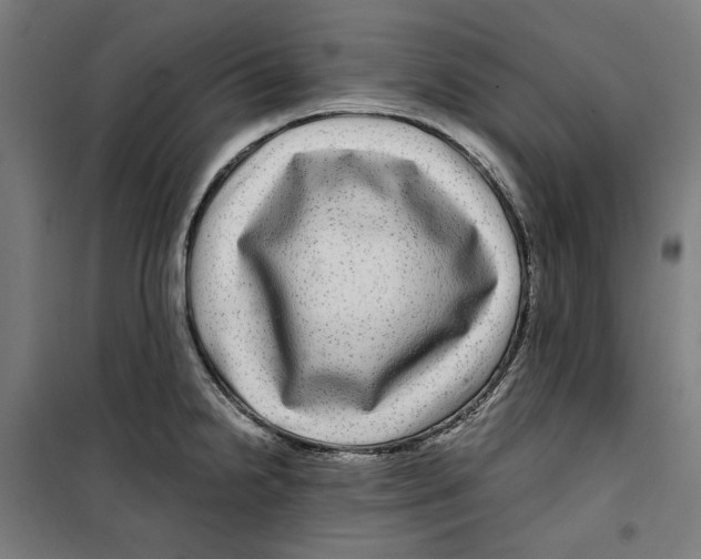 X0000099491238200806121345