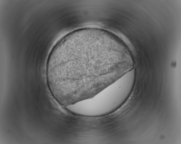 X0000099491240200806121345