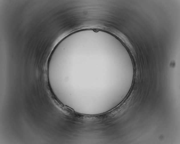 X0000099491242200806121345