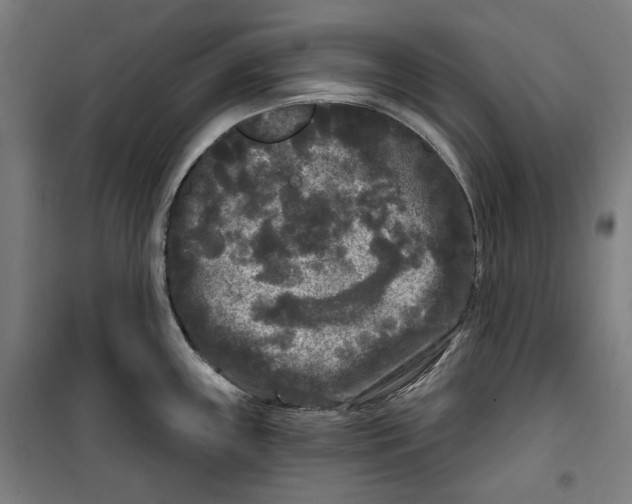 X0000099491243200806121345