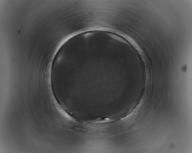 X0000099491246200806121345