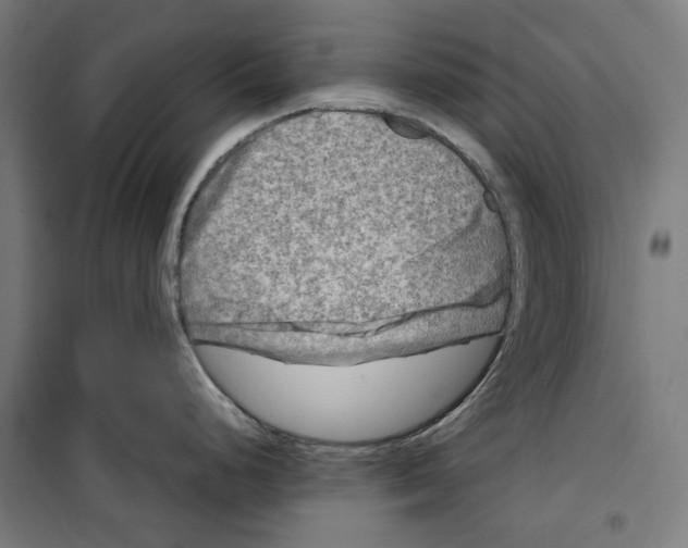 X0000099491248200806121345