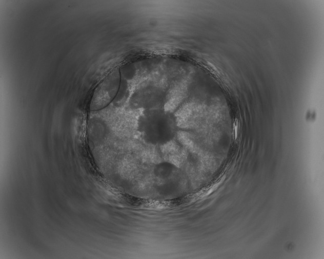 X0000099491251200806121344