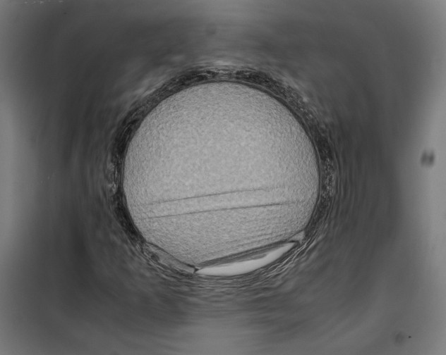 X0000099491253200806121344