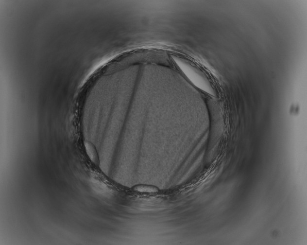 X0000099491256200806121344