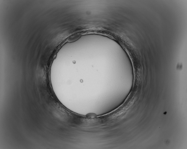 X0000099491257200806121344