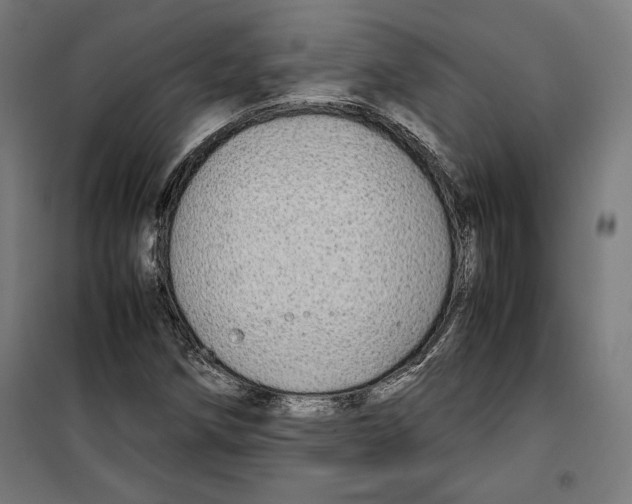 X0000099491258200806121344