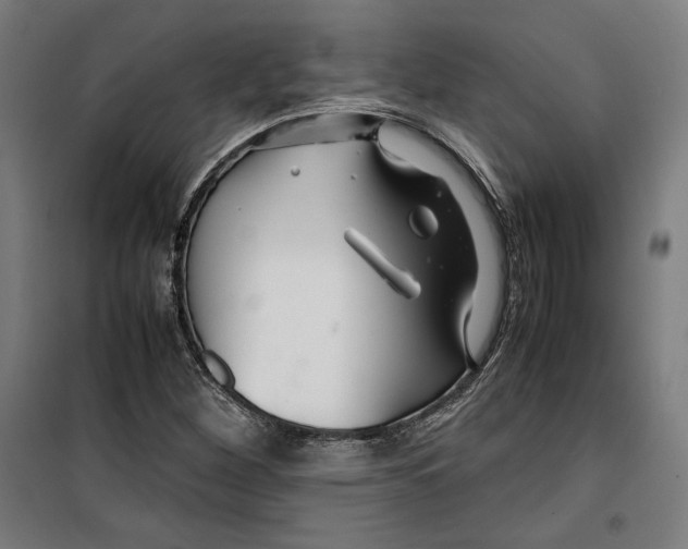 X0000099491260200806121344