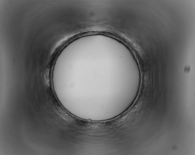 X0000099491262200806121344