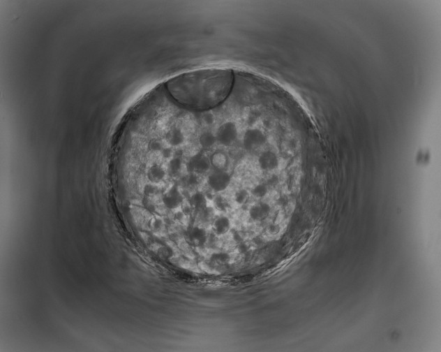 X0000099491263200806121344