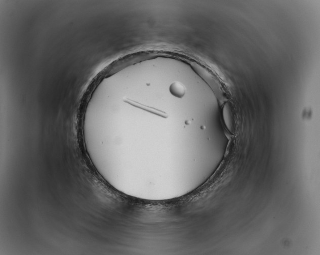 X0000099491264200806121344