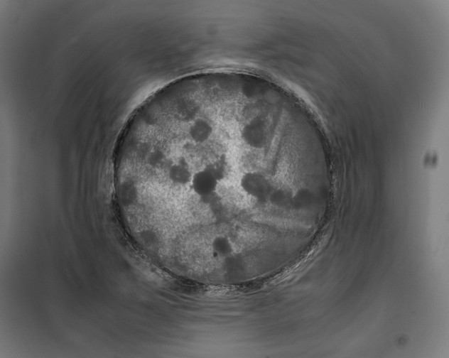 X0000099491267200806121344