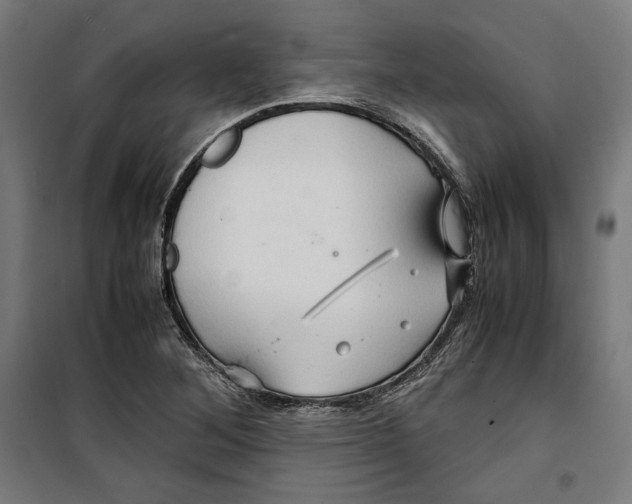 X0000099491268200806121344