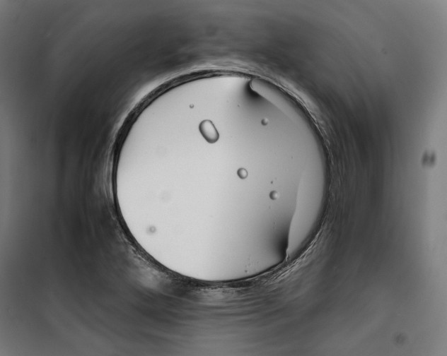 X0000099491272200806121344