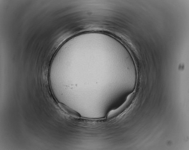 X0000099491273200806121344