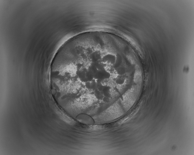 X0000099491275200806121344