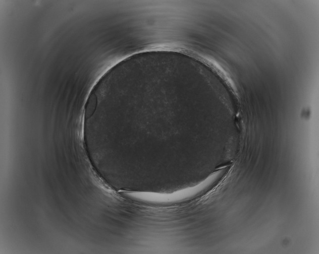 X0000099491276200806121344