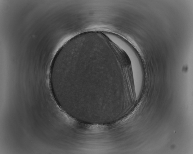 X0000099491277200806121344