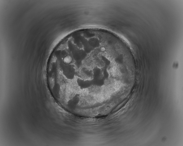 X0000099491279200806121344