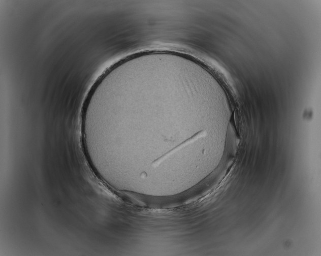 X0000099491280200806121344