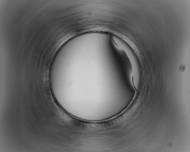 X0000099491281200806121344