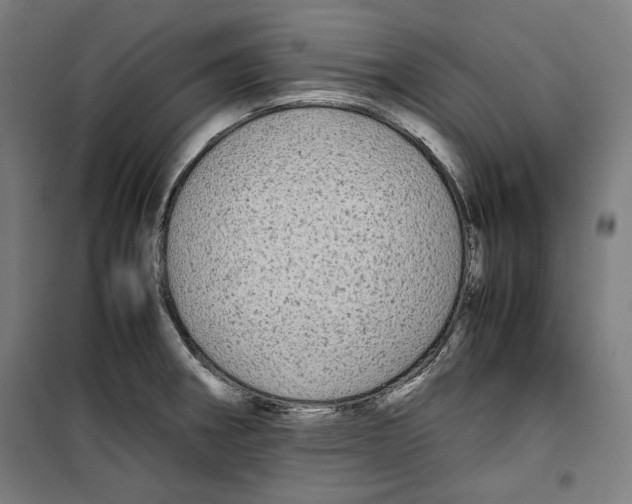 X0000099491282200806121344