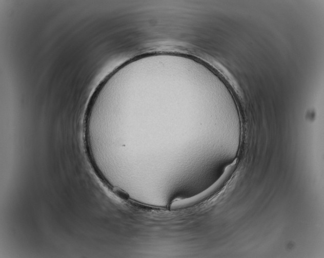 X0000099491285200806121344