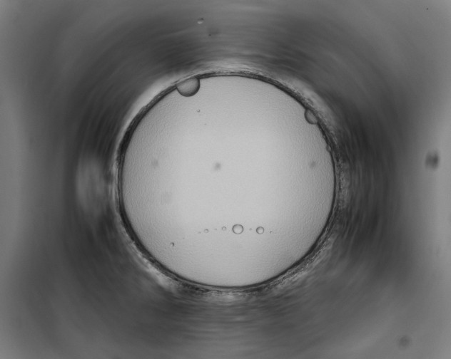 X0000099491286200806121344