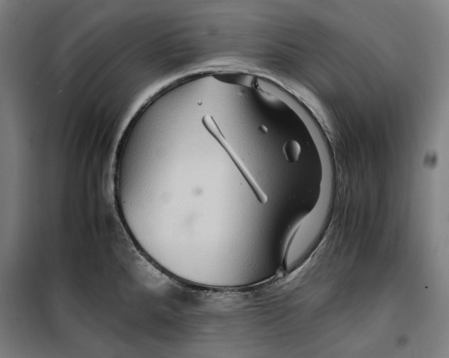 X0000099491288200806121344