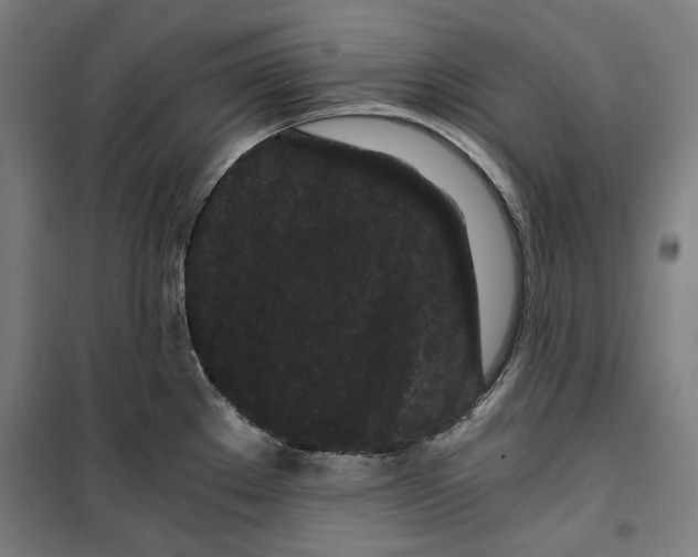 X0000099491289200806121344