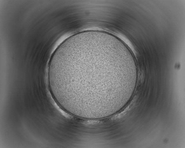 X0000099491290200806121344