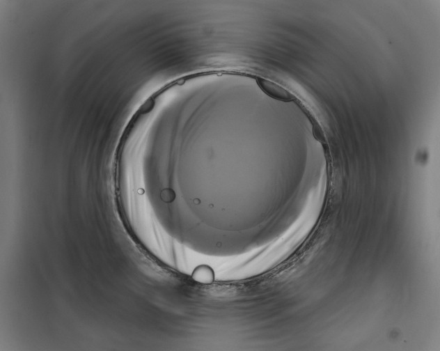 X0000099491291200806121344