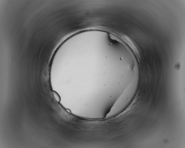 X0000099491292200806121344