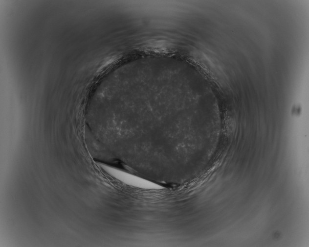 X0000099491297200806121343