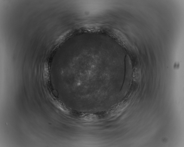 X0000099491298200806121343