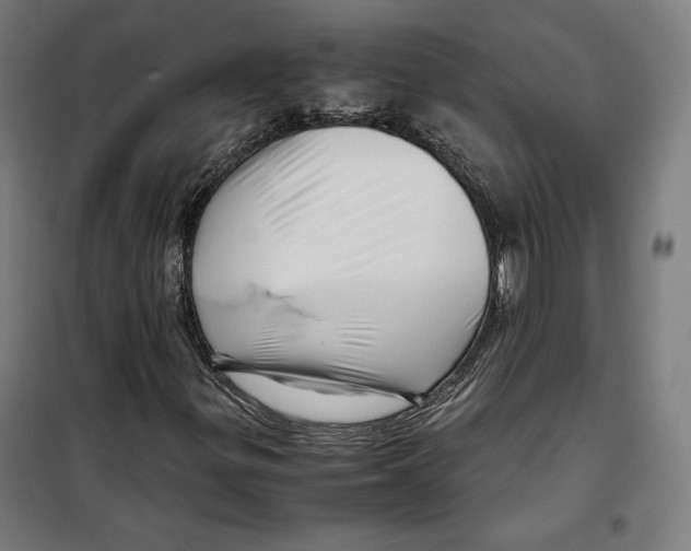 X0000099491299200806121343