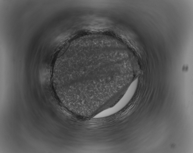 X0000099491300200806121343