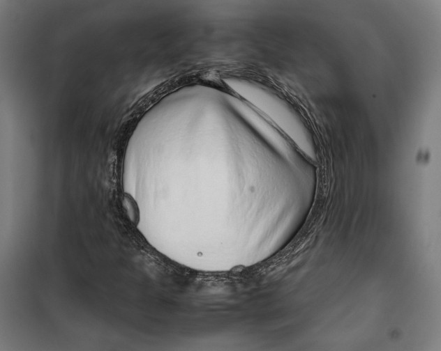 X0000099491301200806121343