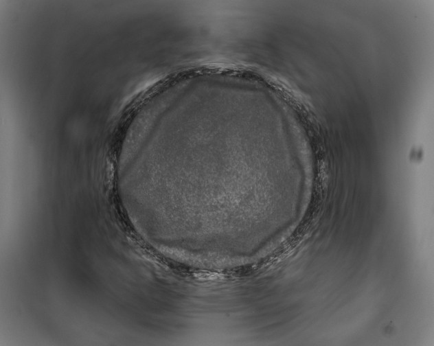 X0000099491302200806121343