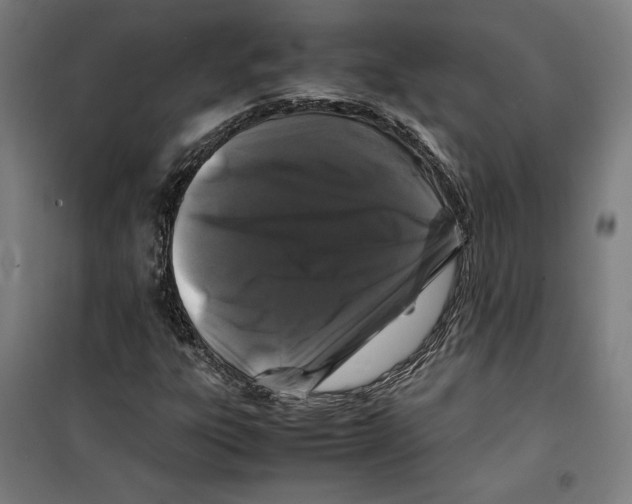 X0000099491303200806121343