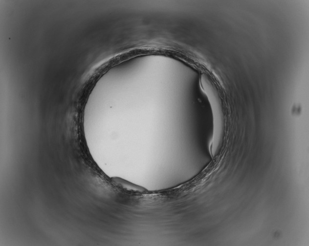 X0000099491304200806121343