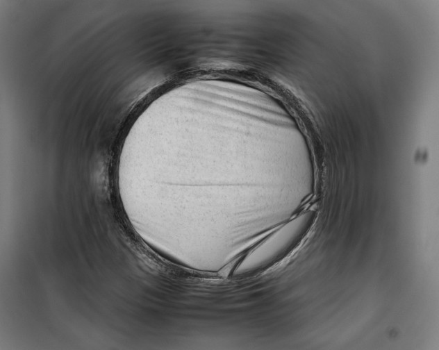 X0000099491305200806121343