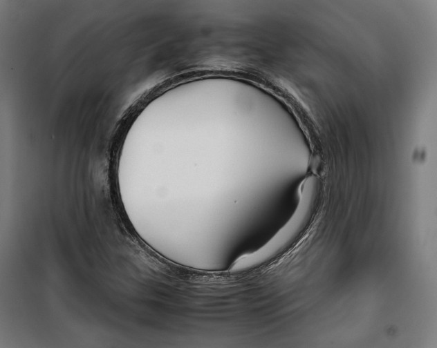 X0000099491307200806121343