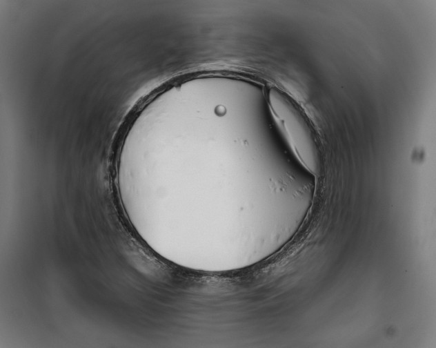 X0000099491308200806121343