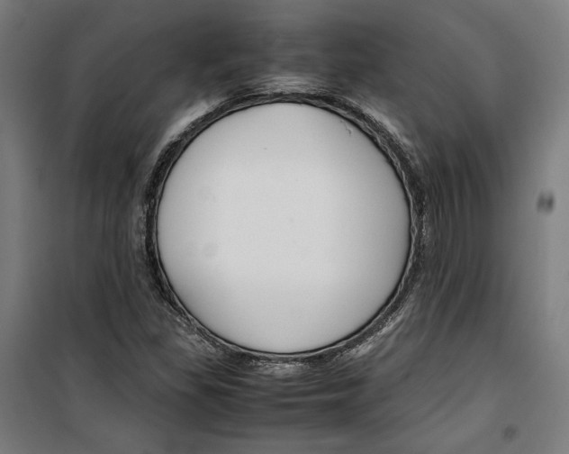 X0000099491309200806121343