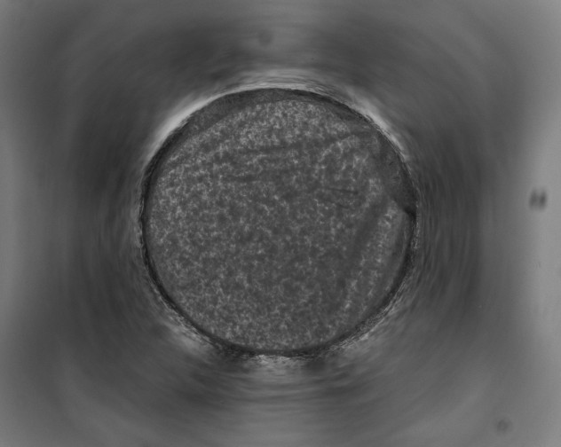 X0000099491312200806121343