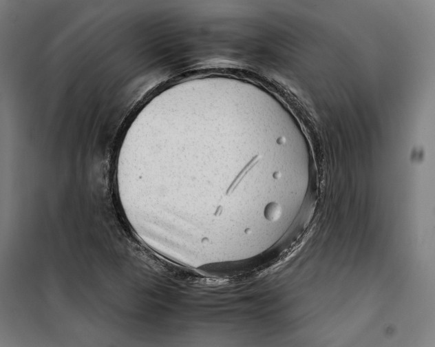 X0000099491313200806121343